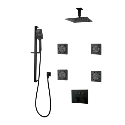 Three Way Thermostatic Shower System F58123-4C16ALB4