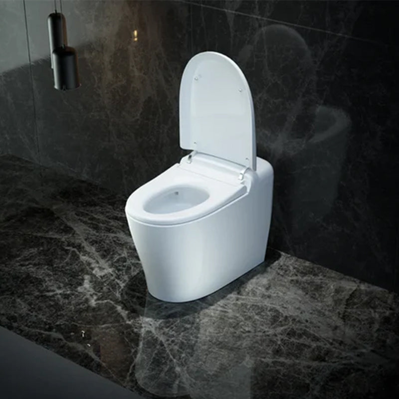 Deluxe Smart Toilet