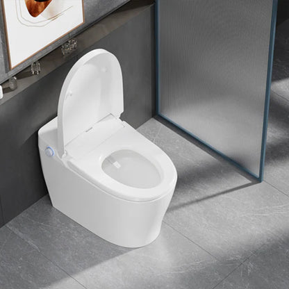 Mono Smart Toilet