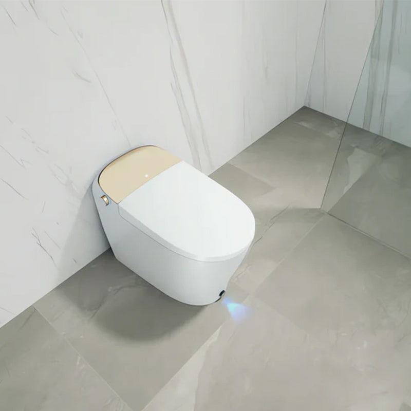 Lux Gold Smart Toilet