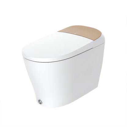 Lux Gold Smart Toilet