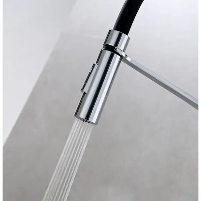 VISENTIN Pull-Out Kitchen Faucet