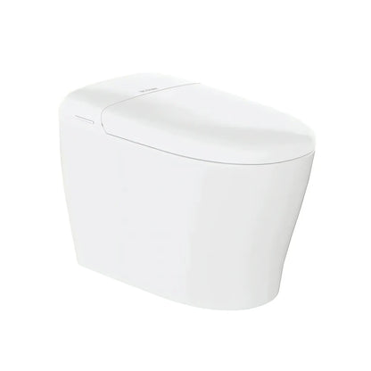 Deluxe Smart Toilet