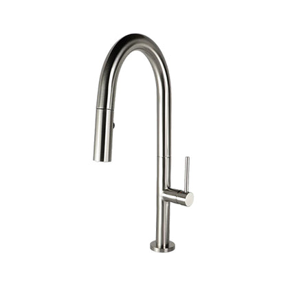 ELEGANTE Pull-down Kitchen Faucet F23304