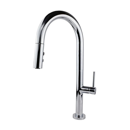 ELEGANTE Pull-down Kitchen Faucet F23304