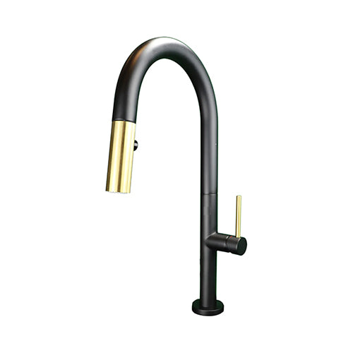 ELEGANTE Pull-down Kitchen Faucet F23304