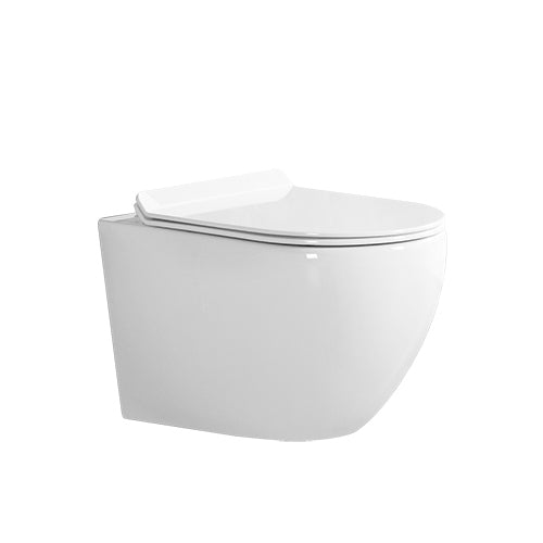 ALPS Wall-Mounted Toilet- KW-9003W