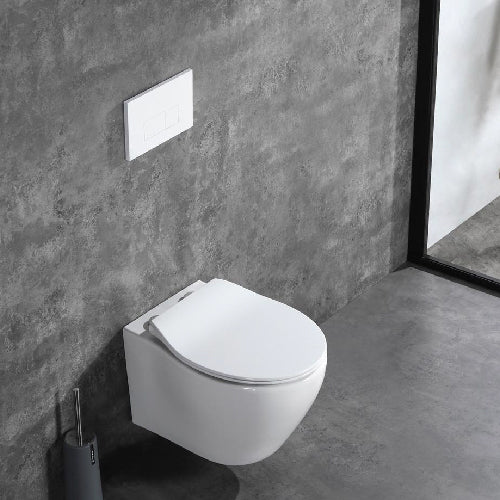 ALPS Wall-Mounted Toilet- KW-99046 - Golzar Home