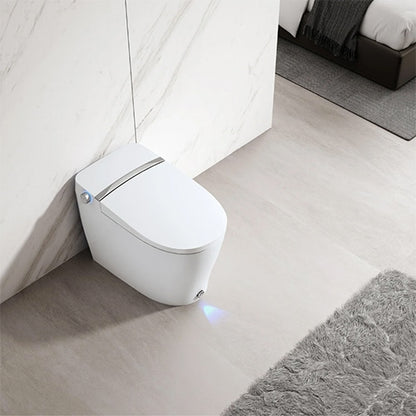 STREAMLINE Integrated Smart Toilet- SMT07GW-Y80