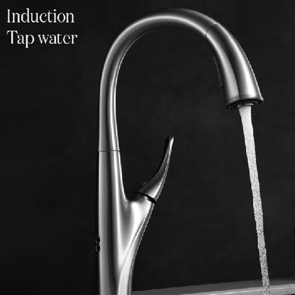 VISENTIN Modern Pull-Down Kitchen Faucet