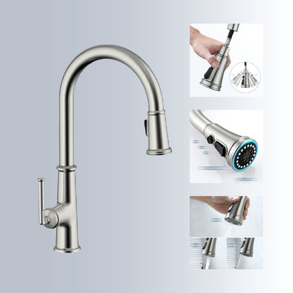 Pull-down Kitchen Faucet VS56918NY