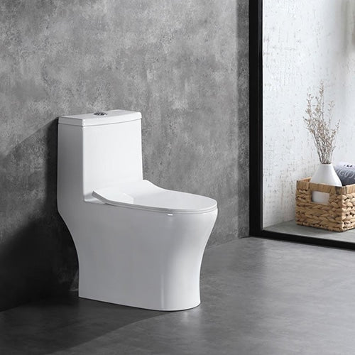 ALPS Dual Flush One Piece Toilet KW-88008