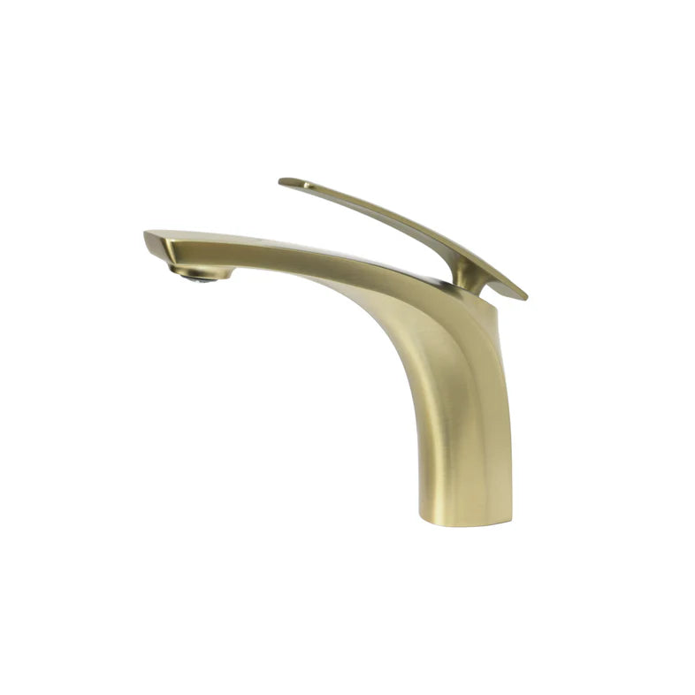 EVA Single Hole Bathroom Faucet-F11170