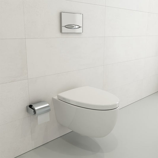 wall hung toilet