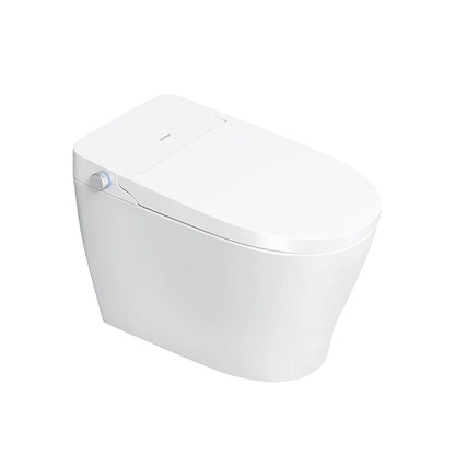 Mono Smart Toilet